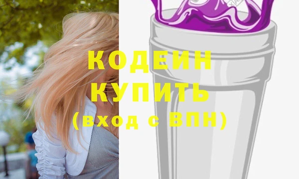 дживик Няндома