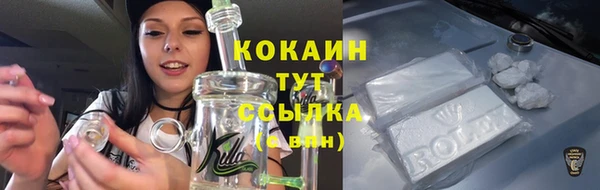 МДПВ Новодвинск