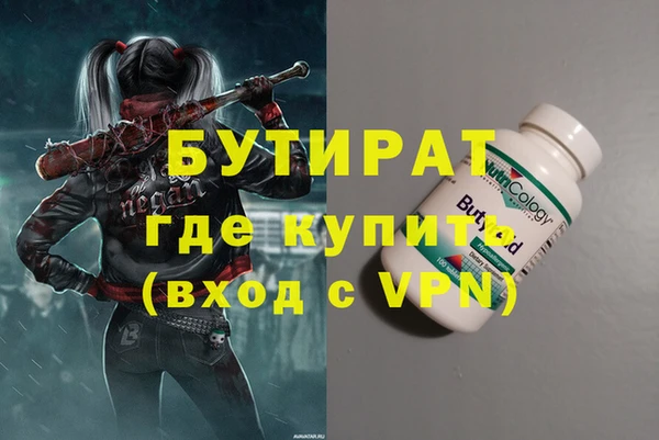 дживик Няндома