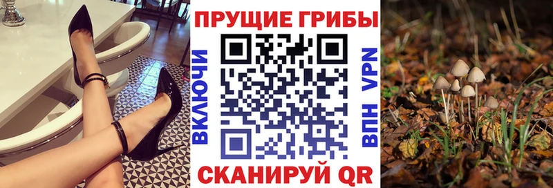 Галлюциногенные грибы Psilocybine cubensis  продажа наркотиков  Соликамск 