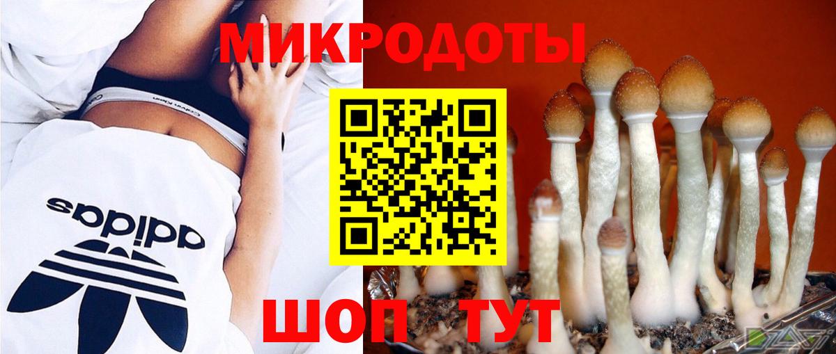 Соликамск  Галлюциногенные грибы Psilocybine cubensis  Вход с VPN 